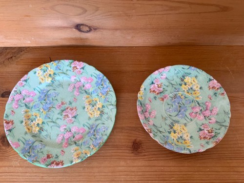 Shelley melody chintz - melody, floral